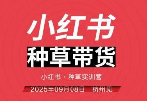 小红书种草带货实训营9月8日杭州线下课，全程录音+字幕，全网唯一小红书实战营-网创项目总站