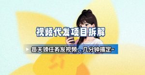 新手副业首选！视频代发接单，领任务发视频，长期稳定不费劲儿-网创项目总站