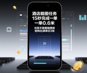 酒店截图任务，15秒完成一单，一单0.6米，任务不限量随便接，矩阵拉满单日3张【揭秘】-网创项目总站