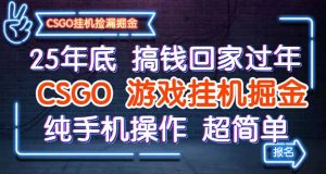 25年底搞钱回家过年，CSGO游戏挂机掘金，纯手机操作超简单-网创项目总站