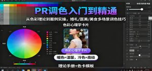 PR调色入门到精通：从色彩理论到案例实操，婚礼/医美/美食多场景调色技巧-网创项目总站