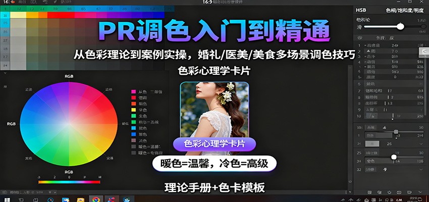 PR调色入门到精通：从色彩理论到案例实操，婚礼/医美/美食多场景调色技巧-网创项目总站