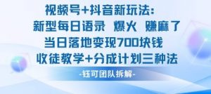 视频号加抖音新玩法：爆火新型每日语录，收徒教学加分成计划，三种变现玩法，当日变现7张-网创项目总站