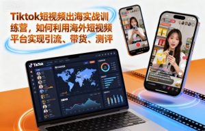Tiktok短视频出海实战训练营，如何利用海外短视频平台实现引流、带货、测评-网创项目总站