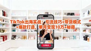 「TikTok出海实战」引流技巧+带货模式+爆款打造，单月变现10万+秘籍-网创项目总站