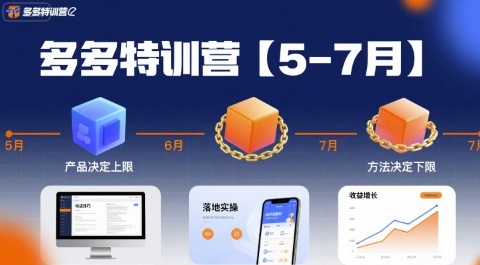 多多特训营，产品决定上限，方法决定下限，各种玩法技巧落地实操(更新)-网创项目总站