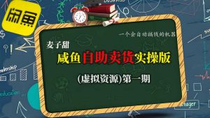 麦子甜咸鱼自助卖货实操版(虚拟资源)一个会自动搞钱的机器-网创项目总站