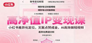 高净值IP变现课：小红书差异化定位，文案点赞成金， AI高效做短视频-网创项目总站