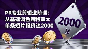 PR专业剪辑进阶课：从基础调色到特效大片的进阶技能，单条短片报价达2000-网创项目总站