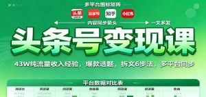 头条号变现课：43W纯流量收入经验，爆款选题，拆文6步法，多平台同步-网创项目总站