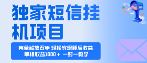 2025全新电脑挂机项目 操作简单，单机当天收益1000+，收益无上限，可…-网创项目总站