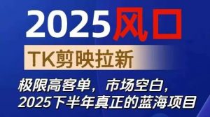 2025风口TK剪映capcut拉新项目，极限高客单，市场空白，2025下半年真正的蓝海项目-网创项目总站