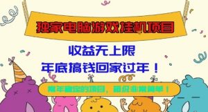 独家电脑游戏挂G项目，常年稳定，收益无上限，年底搞钱回家过年【揭秘】-网创项目总站