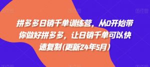 拼多多日销千单训练营，从0开始带你做好拼多多，让日销千单可以快速复制(更新25年10月)-网创项目总站