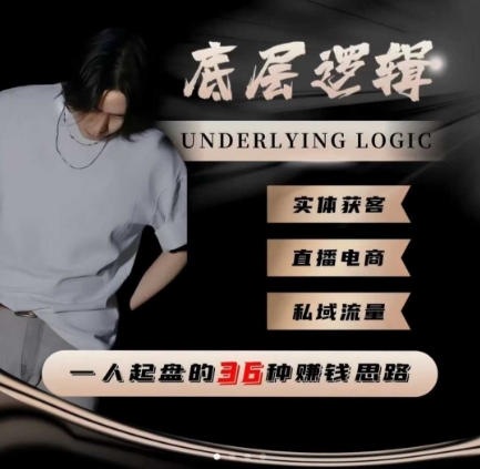 一个人起盘的底层逻辑，私域流量-直播电商-实体获客，一人起盘的36种賺钱思路-网创项目总站