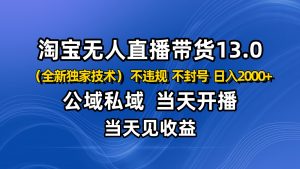 淘宝无人直播13.0，公域私域技术，不封号，不违规 布局下半年旺季赛道，日入2000+-网创项目总站