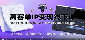 高客单IP变现线下大课：素人IP打造，美业流量方法论，销转模型，脚本与拍摄剪辑-网创项目总站