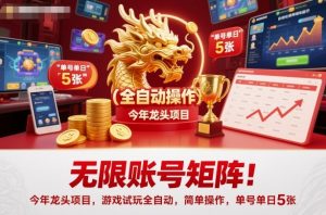无限账号矩阵！今年龙头项目，游戏试玩全自动，简单操作，单号单日5张【揭秘】-网创项目总站