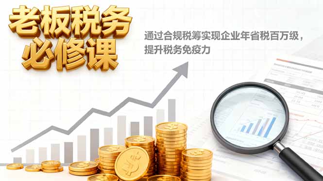 老板税务必修课，通过合规税筹实现企业年省税百万级，提升税务免疫力-网创项目总站