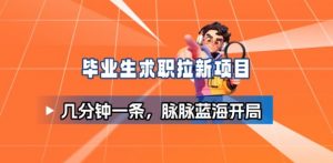 毕业生求职项目拆解_脉脉拉新空白市场，蓝海开局-网创项目总站