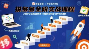 拼多多全阶实战课程，从新手小白到运营高手，海量实战玩法+全年实时更新【2025年10月更新】-网创项目总站