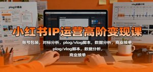 小红书IP运营高阶变现课：账号包装，对标分析，plog/vlog脚本，数据分析，商业接单-网创项目总站
