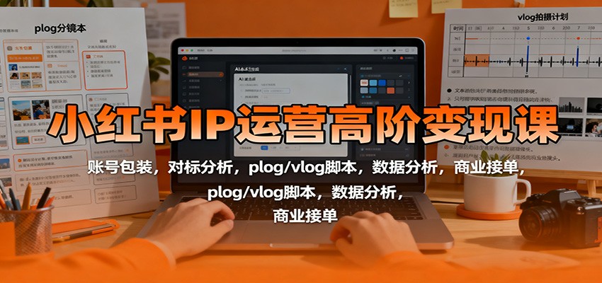 小红书IP运营高阶变现课：账号包装，对标分析，plog/vlog脚本，数据分析，商业接单-网创项目总站