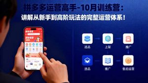 拼多多运营高手-10月训练营：讲解从新手到高阶玩法的完整运营体系！-网创项目总站