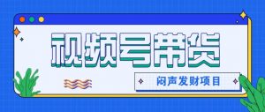 微信视频号带货项目，轻松日赚赚2000+，这个挣钱入口很多伙伴都在闷声发财-网创项目总站