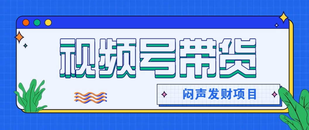微信视频号带货项目，轻松日赚赚2000+，这个挣钱入口很多伙伴都在闷声发财-网创项目总站