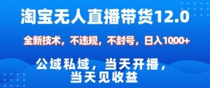 淘宝无人直播12.0,公域私域技术,不封号,不违规布局双十一流量风口,日入1k(独家技术)【揭秘】-网创项目总站