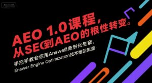 AEO 1.0 课程，从SEO到AE0的基命性转变，手把手教会你用AnswerEngineOptimization技术抢回流量(更新)-网创项目总站