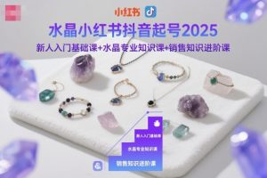 水晶小红书抖音起号2025，新人入门基础课+水晶专业知识课+销售知识进阶课-网创项目总站