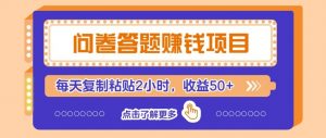 问卷赚钱零撸小项目，新手小白也能操作，每天复制粘贴2小时，收益50+-网创项目总站
