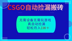 CSGO自动捡漏搬砖，当天操作当天见结果，无需了解游戏，包教包会包落地-网创项目总站