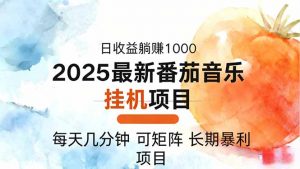 2025年最新番茄音乐人挂机项目,每天几分钟,月入1000+,可矩阵,一台…-网创项目总站