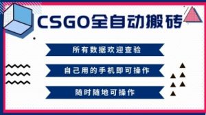 CSGO全自动搬砖，年底钱回家好项目，当天可拿到结果，新手小白轻松月入1W+【揭秘】-网创项目总站