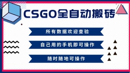 CSGO全自动搬砖，年底钱回家好项目，当天可拿到结果，新手小白轻松月入1W+【揭秘】-网创项目总站