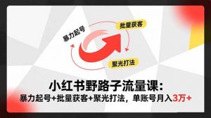 小红书野路子流量课：暴力起号+批量获客+聚光打法，单账号月入3万+-网创项目总站