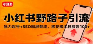 小红书野路子引流，暴力起号+SEO霸屏截流，移花接木日获客100+-网创项目总站