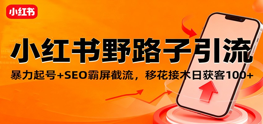 小红书野路子引流，暴力起号+SEO霸屏截流，移花接木日获客100+-网创项目总站