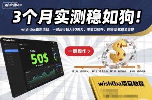 3个月实测稳如狗！wishlba最新项目，一键运行日入50美刀，单窗口躺挣，保姆级教程全给你【揭秘】-网创项目总站