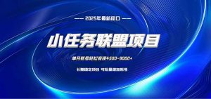 小任务联盟项目：一台电脑每天只需10分钟，轻松简单稳定-网创项目总站