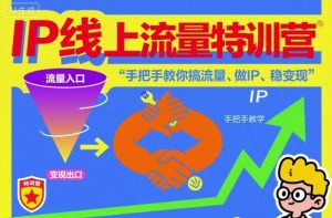 IP线上流量特训营，手把手教你搞流量、做IP、稳变现-网创项目总站