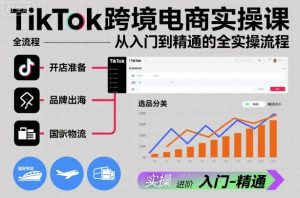 TikTok跨境电商实操课，从入门到精通的全实操流程-网创项目总站