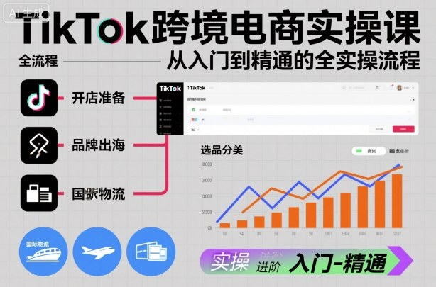 TikTok跨境电商实操课，从入门到精通的全实操流程-网创项目总站