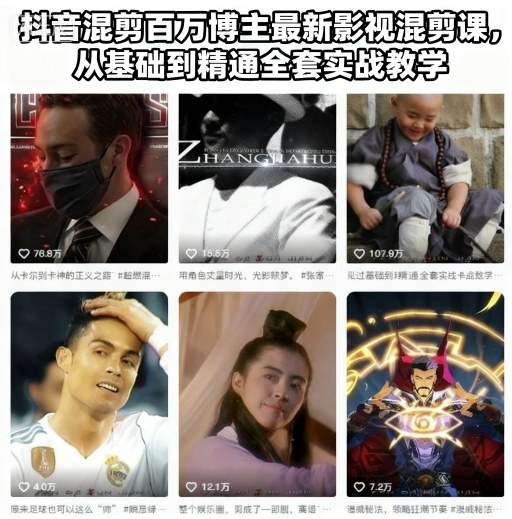 抖音混剪百万博主最新影视混剪课，从基础到精通全套实战教学(更新)-网创项目总站