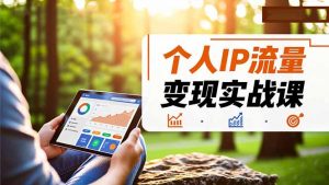 个人IP流量变现实战课，涵盖多平台引流、打造个人IP并实现稳定流量变现-网创项目总站