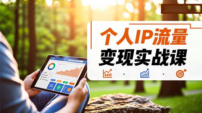 个人IP流量变现实战课，涵盖多平台引流、打造个人IP并实现稳定流量变现-网创项目总站