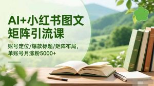 AI+小红书图文矩阵引流课：账号定位/爆款标题/矩阵布局/单账号月涨粉5000+-网创项目总站